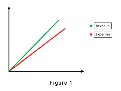 Expenses Revenue graph